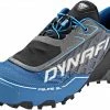Dynafit Feline SL GTX Schoenen Heren, Grijs/zwart