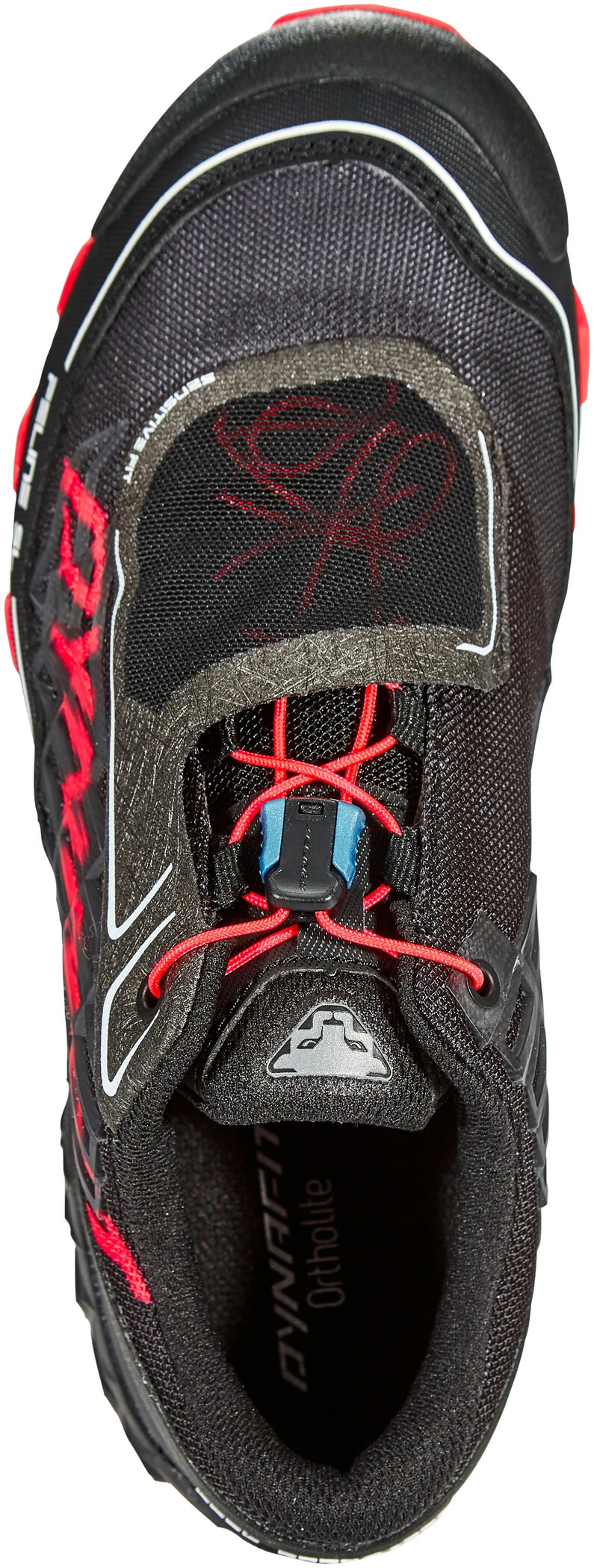 Dynafit Feline SL Schoenen Dames, Petrol/turquoise 5 Dynafit Feline SL Schoenen Dames, Petrol/turquoise - Afbeelding 3